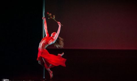 Pole Theatre Hungary 2018 – nemzetközi rúdszínház-verseny - középhaladó Pole Theatre Hungary 2018 – nemzetközi rúdszínház-verseny - középhaladó