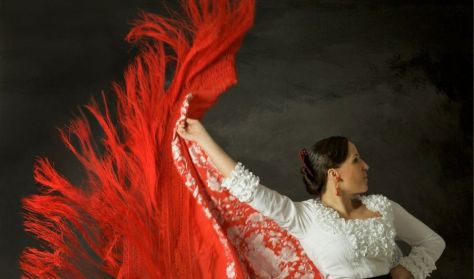 La Kati Cuadro Flamenco