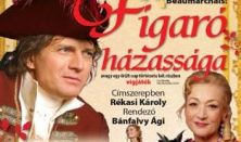 FIGARÓ HÁZASSÁGA