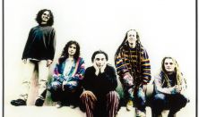 Ozric Tentacles (UK), Trottel Stereodream Experience