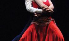 The Antonio Gades Company: Carmen