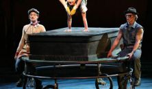Cirque Mechanics:BIRDHOUSE FACTORY