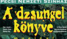 A dzsungel könyve.