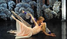 Moszkvai Városi Balett: Hattyúk tava