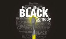 Peter Shaffer: Black Comedy (bohózat)