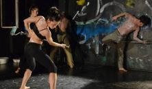 ARANY JÁNOS: TOLDI - a Színház- és Filmművészeti Egyetem előadása