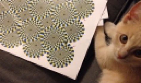 CUBE- Vass Imre és Somló Dávid: Kockafej