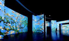 Van Gogh Alive kiállítás (hétvége)