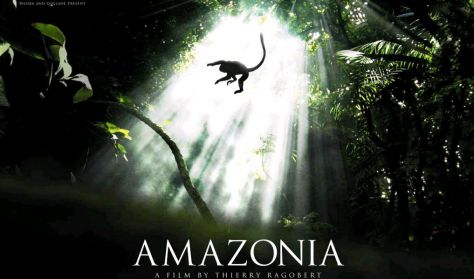 MOZI  - Amazónia  3D