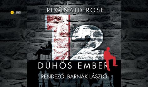 12 dühös ember