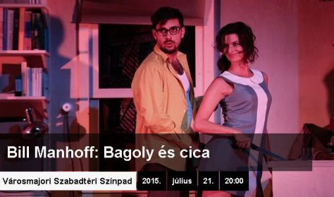 Bill Manhoff: Bagoly és cica