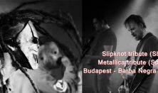 Slipchaos & Scary Guyz (Slipknot Tribute & Metallica Tribute)