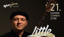 Little G Weevil and the Juke Joint Trio