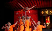 The Mysterious power of the SHAOLIN Monks