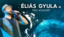 Éliás Gyula Jr koncert