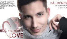 All You Need Love - Pál Dénes Valentin-napi koncertje