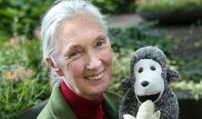 A REMÉNY  SZÜLETÉSE - Dr. Jane Goodall és az On The Spot alkotóinak előadása