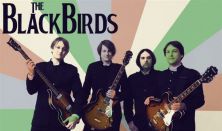 The BlackBirds - koncert