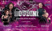 Houdini a varázslatos musical