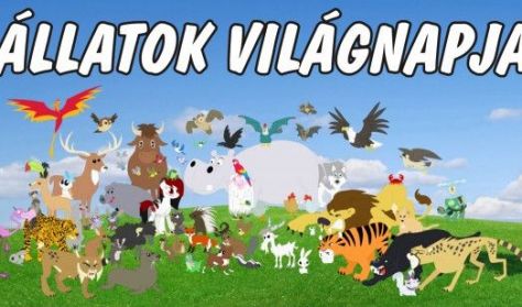 Állatok Világnapja Állatok Világnapja