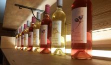 Borélmény a Petrény Borbankban egri borászokkal, új bor ünnep