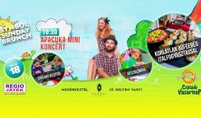 Apacuka koncert