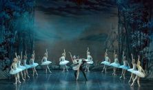 Szentpétervári Balett  Színház - Hattyúk Tava