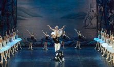 Szentpétervári Balett  Színház - Hattyúk Tava