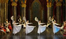 Szentpétervári Balett Színház - Hattyúk Tava