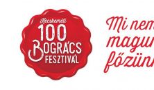 100 Bogrács Fesztivál / 2 napos EarlyBird bérlet