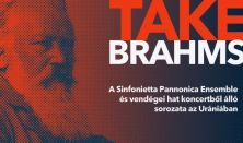 Take Brahms – 5. hangverseny: Zongorás triók