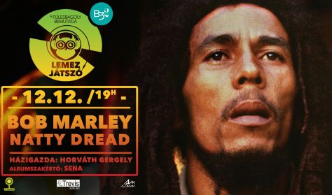 Lemezjátszó - Bob Marley