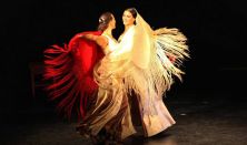 Táncfarsang 2018 - Farsangi Flamenco Fiesta - Las Flamencas Anya és Lánya előadása
