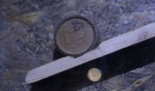 Varázsvilág - A Varázslóbörtön foglya szabadulós játék 75 perces