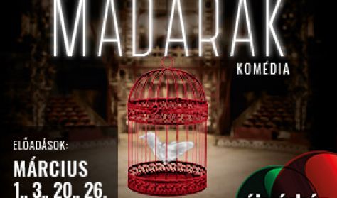 Madarak Madarak