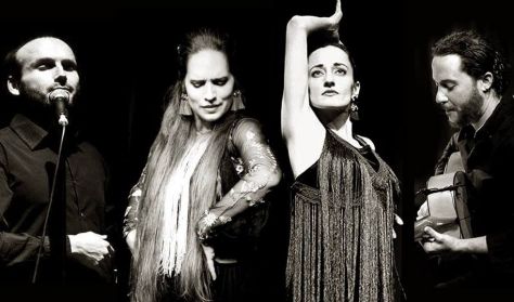 Flamenco est Flamenco est