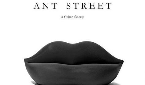 Oliver Micevski's theatre company presents: ANT STREET by Roland Schimmelpfennig