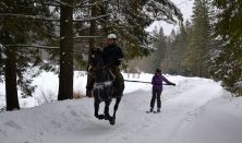 Skijoring – lovassíelés, új dimenzió a téli sportokban
