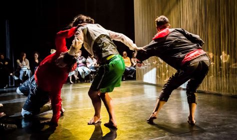 iCoDaCo International Contemporary Dance Collective - it will come later