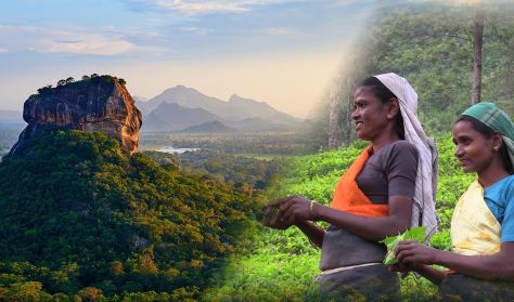 Filmvetítés - Világjáró Sorozat - Sri Lanka India könnycseppje