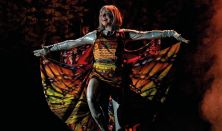 xxxBerg Judit: RUMINI Ferrit-szigeten