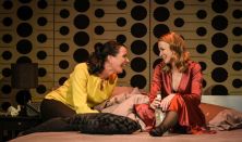 Mohácsi István: Francia rúdugrás