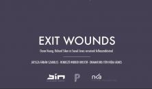 Y Csoport - Exit Wounds