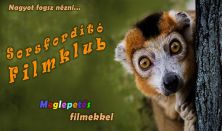 Sorsfordító Filmklub - Meglepetés filmekkel