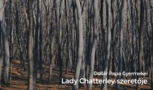 Dollár Papa Gyermekei: Lady Chatterley szeretője
