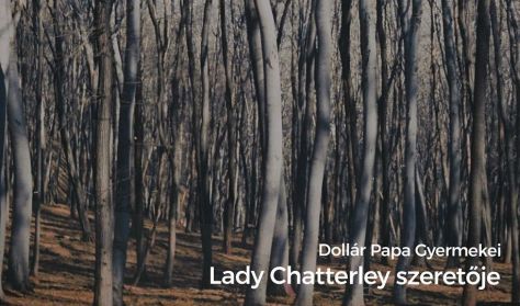 Dollár Papa Gyermekei: Lady Chatterley szeretője Dollár Papa Gyermekei: Lady Chatterley szeretője