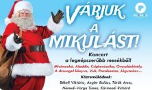 Várjuk a Mikulást! (Világhírű mesedalok) - GYERMEKKONCERT