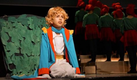 Cseppszínház - A kis herceg