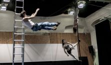 Grotesque Gymnastics - A kudarc anatómiája