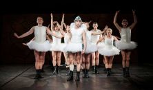 Swan lake revisited – Hattyúk tava újratöltve